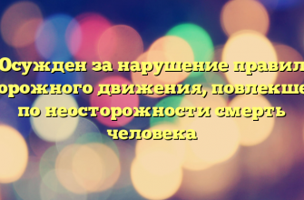 Осужден за нарушение правил дорожного движения, повлекшее по неосторожности смерть человека